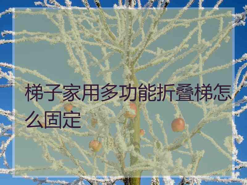 梯子家用多功能折叠梯怎么固定 梯子家用多功能折叠梯怎么固定