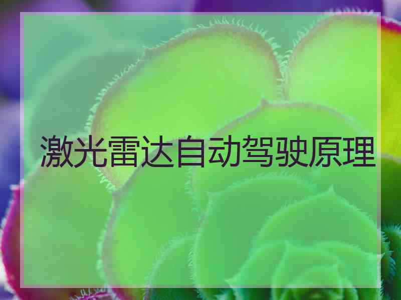 激光雷达自动驾驶原理 激光雷达自动驾驶原理