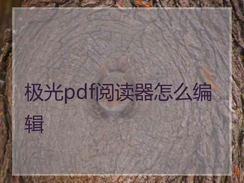 极光pdf阅读器怎么编辑 极光pdf阅读器怎么编辑