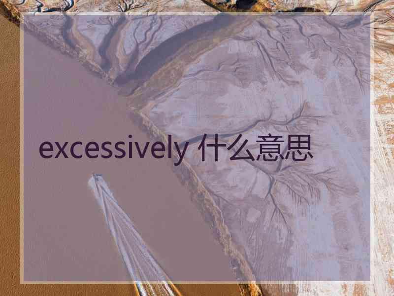 excessively 什么意思 excessively 什么意思