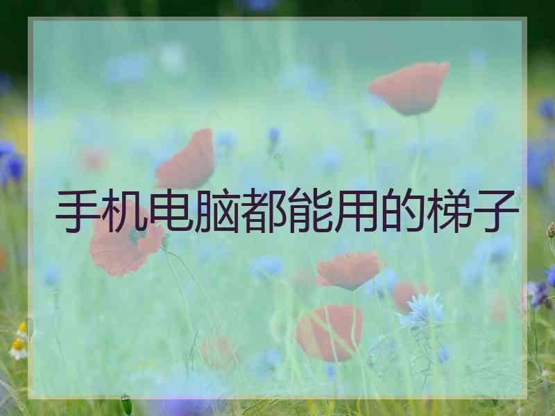 手机电脑都能用的梯子 手机电脑都能用的梯子