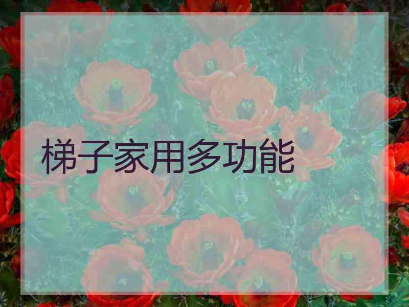 梯子家用多功能 梯子家用多功能