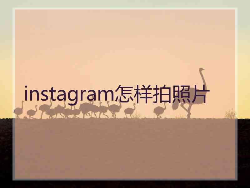 instagram怎样拍照片