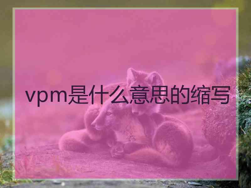 vpm是什么意思的缩写 vpm是什么意思的缩写