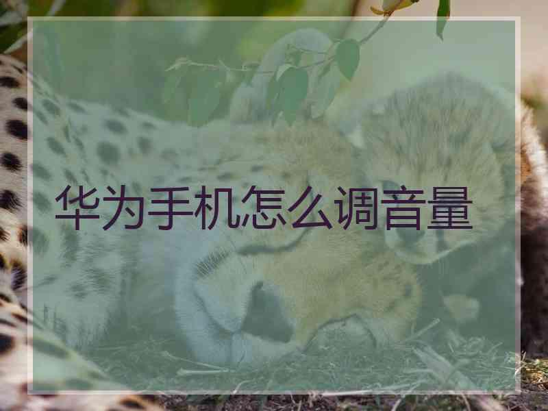 华为手机怎么调音量 华为手机怎么调音量