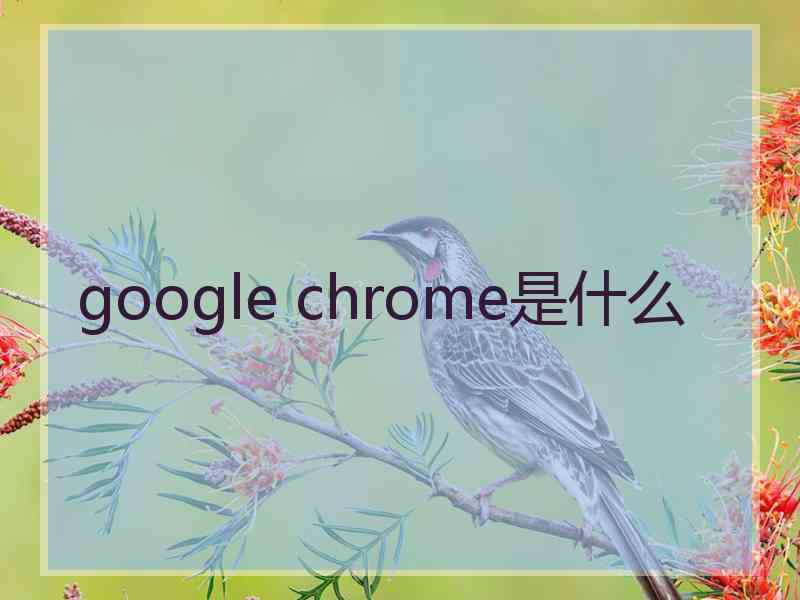 google chrome是什么 google chrome是什么