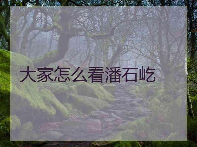 大家怎么看潘石屹 大家怎么看潘石屹