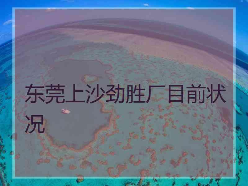 东莞上沙劲胜厂目前状况 东莞上沙劲胜厂目前状况
