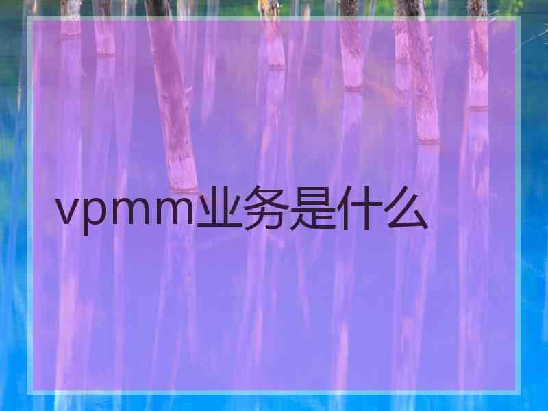 vpmm业务是什么 vpmm业务是什么