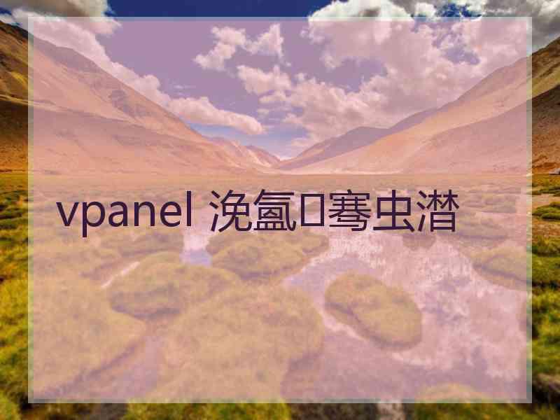 vpanel 浼氳骞虫澘 vpanel 浼氳骞虫澘