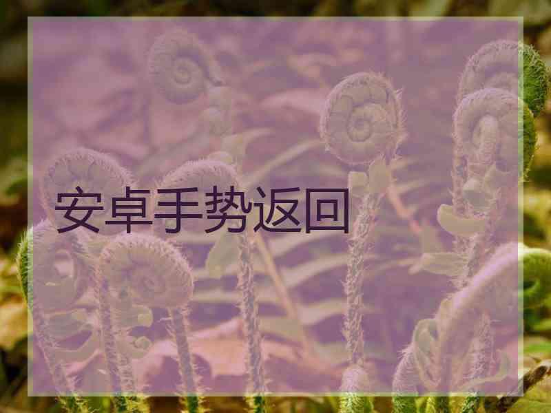 安卓手势返回 安卓手势返回