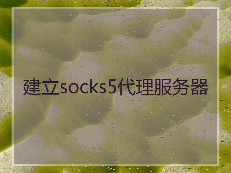 建立socks5代理服务器