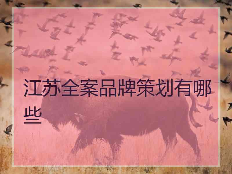 江苏全案品牌策划有哪些 江苏全案品牌策划有哪些