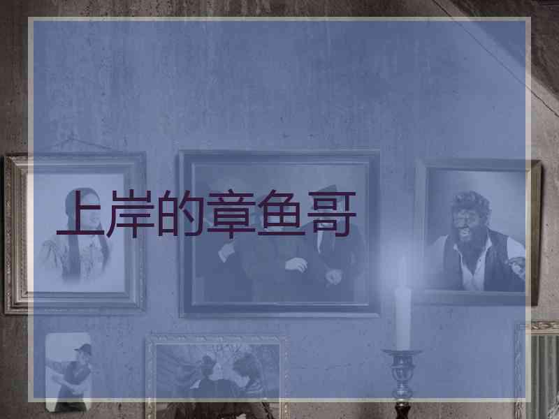 上岸的章鱼哥 上岸的章鱼哥