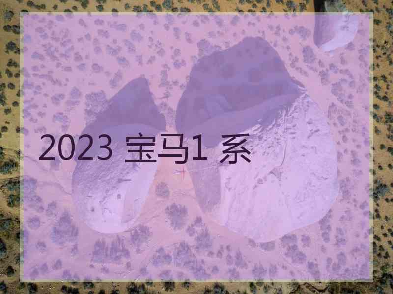 2023 宝马1 系 2023 宝马1 系
