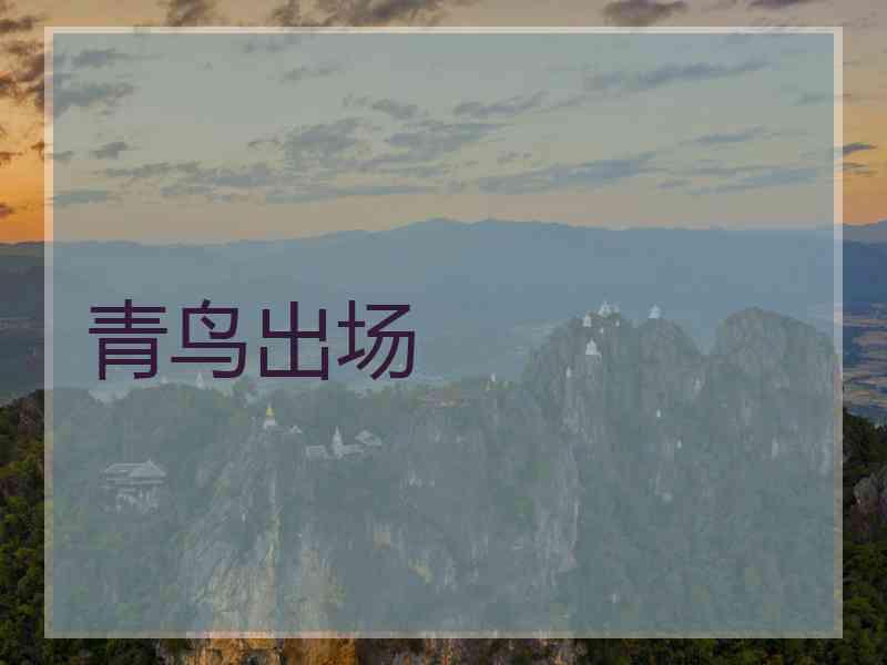 青鸟出场 青鸟出场