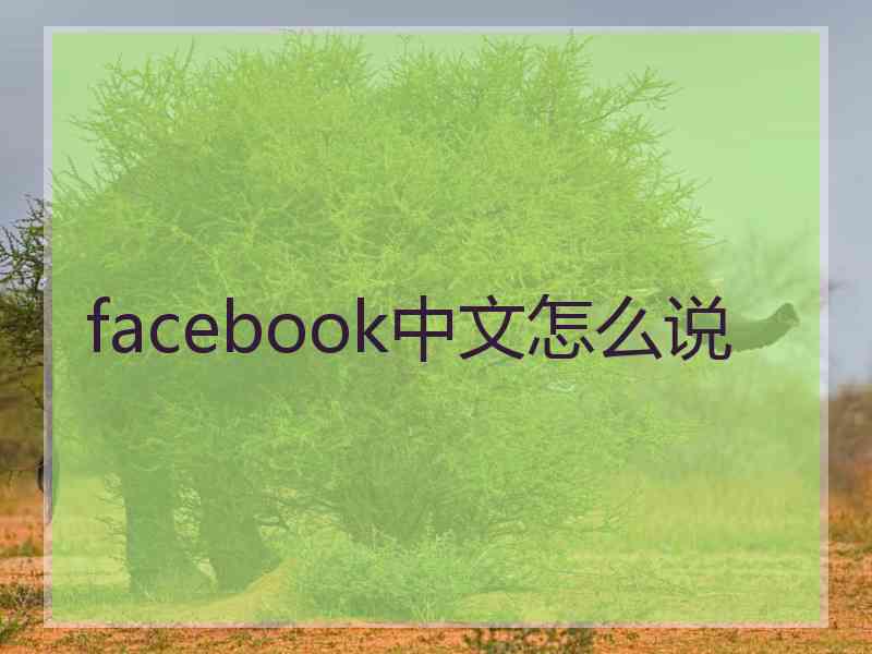 facebook中文怎么说 facebook中文怎么说