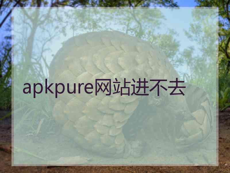 apkpure网站进不去 apkpure网站进不去