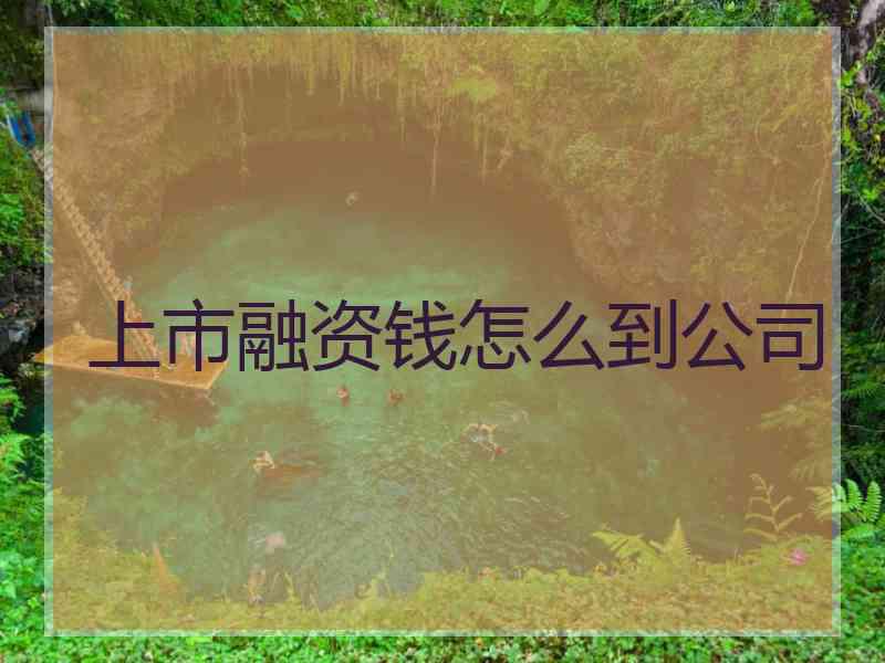 上市融资钱怎么到公司 上市融资钱怎么到公司