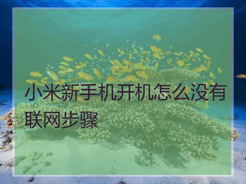 小米新手机开机怎么没有联网步骤 小米新手机开机怎么没有联网步骤