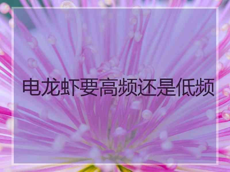 电龙虾要高频还是低频 电龙虾要高频还是低频