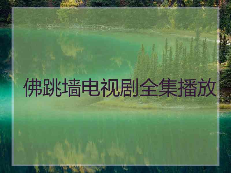 佛跳墙电视剧全集播放 佛跳墙电视剧全集播放