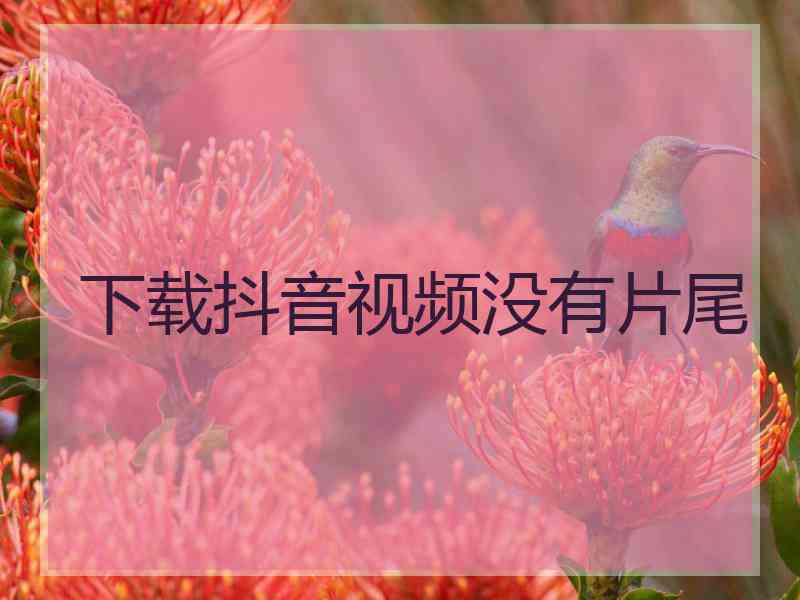 下载抖音视频没有片尾 下载抖音视频没有片尾