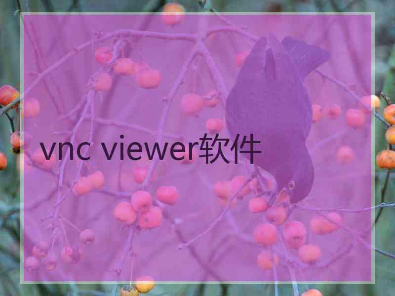 vnc viewer软件 vnc viewer软件