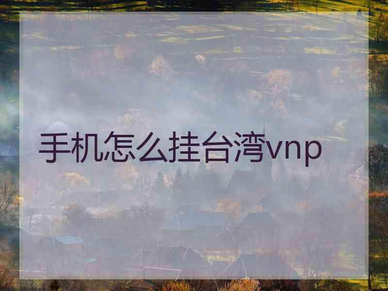 手机怎么挂台湾vnp