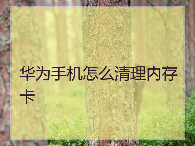 华为手机怎么清理内存卡 华为手机怎么清理内存卡