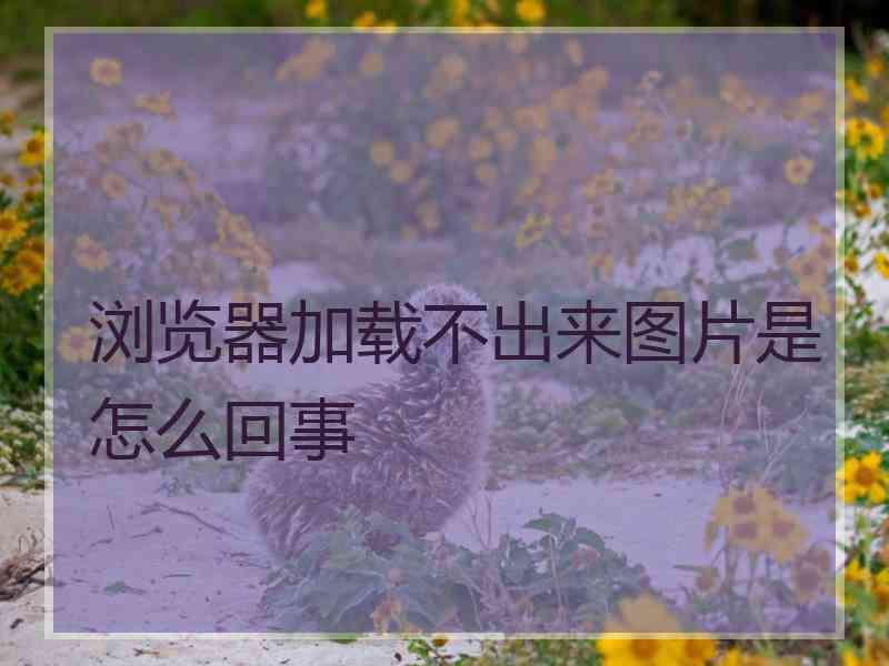 浏览器加载不出来图片是怎么回事 浏览器加载不出来图片是怎么回事