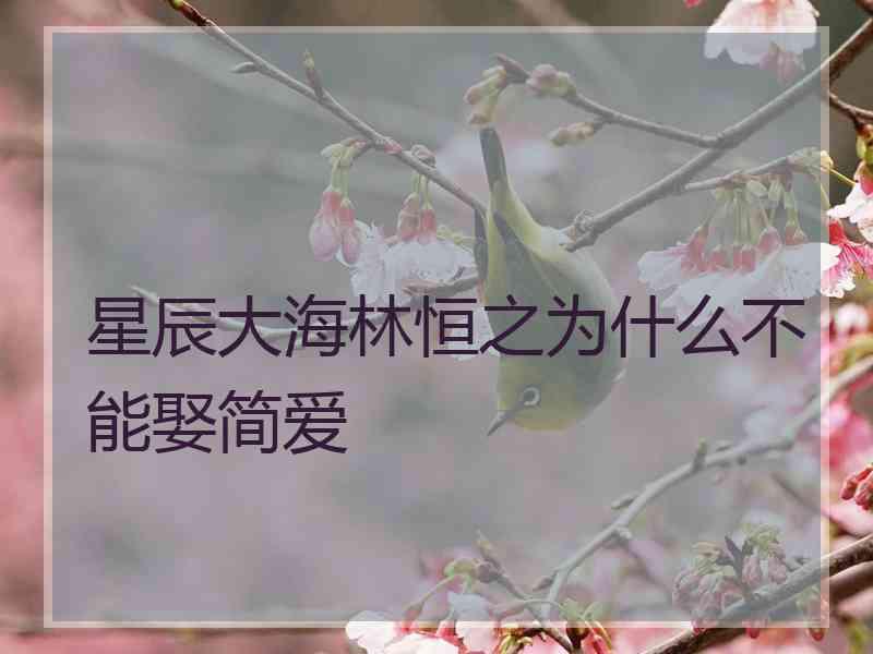 星辰大海林恒之为什么不能娶简爱 星辰大海林恒之为什么不能娶简爱