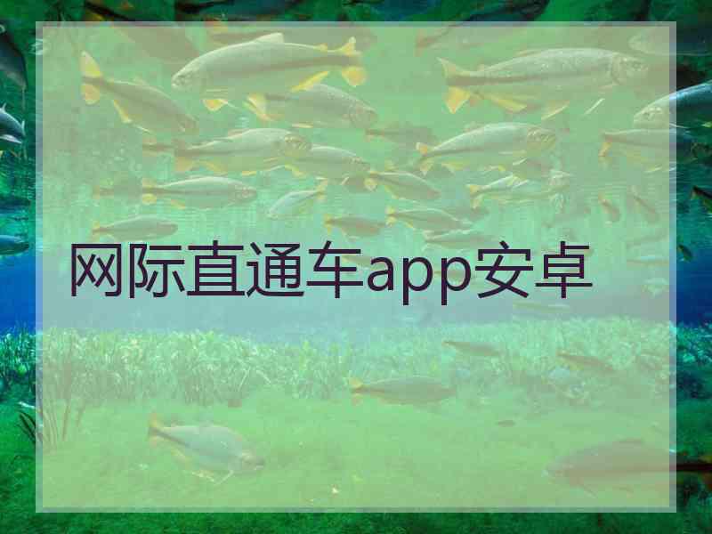 网际直通车app安卓 网际直通车app安卓