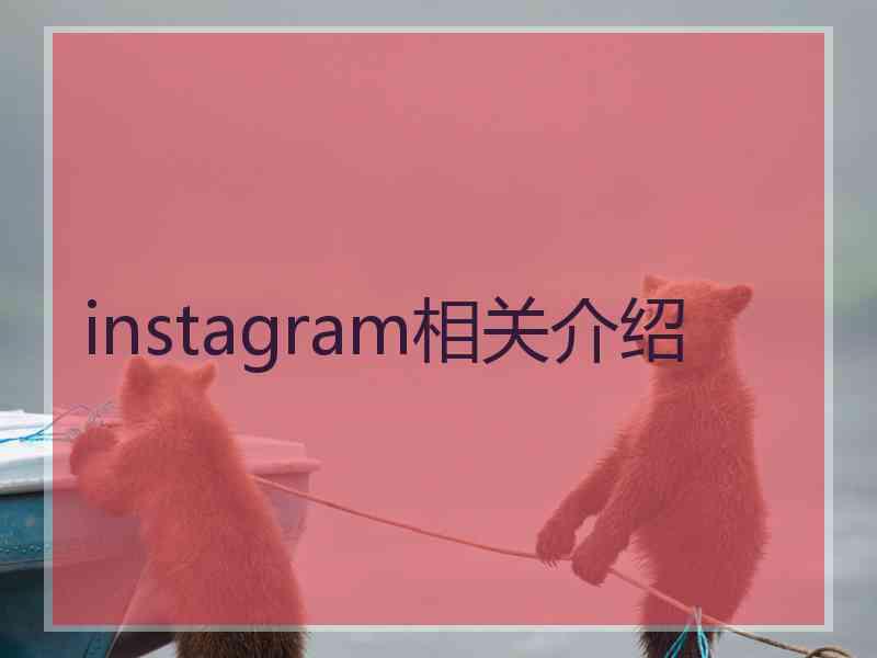 instagram相关介绍