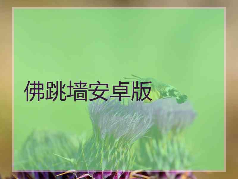 佛跳墙安卓版 佛跳墙安卓版