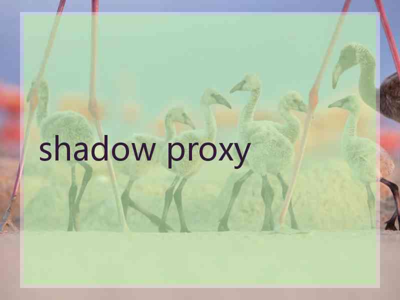 shadow proxy