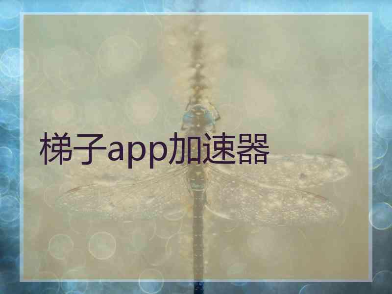 梯子app加速器 梯子app加速器