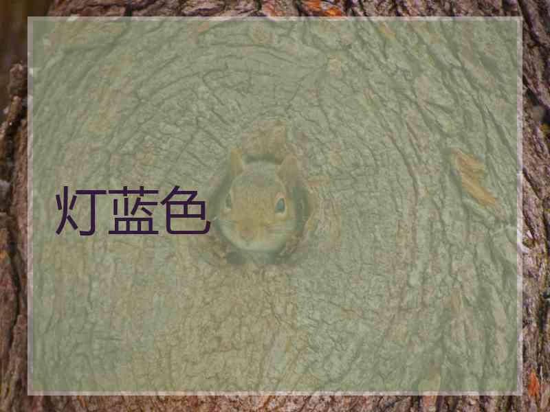 灯蓝色 灯蓝色