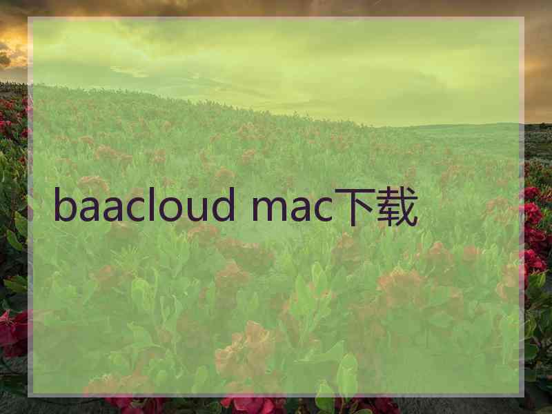 baacloud mac下载