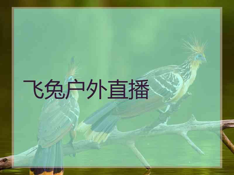 飞兔户外直播 飞兔户外直播