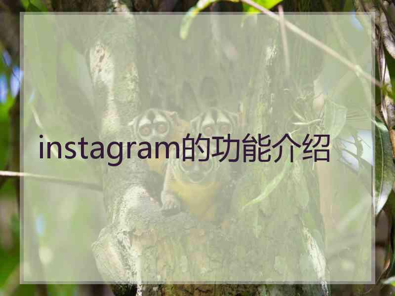 instagram的功能介绍