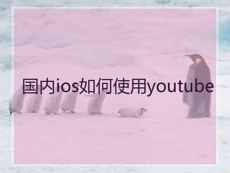 国内ios如何使用youtube
