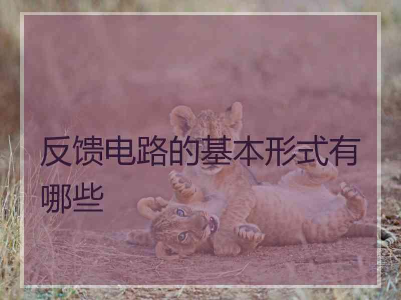 反馈电路的基本形式有哪些 反馈电路的基本形式有哪些