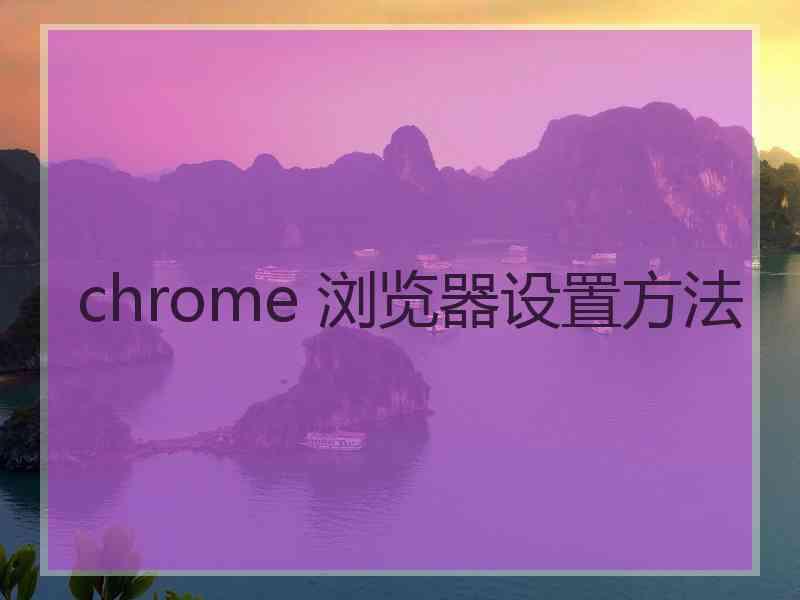 chrome 浏览器设置方法