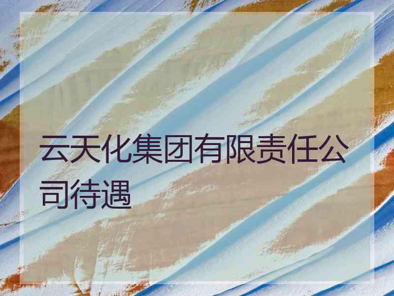 云天化集团有限责任公司待遇 云天化集团有限责任公司待遇