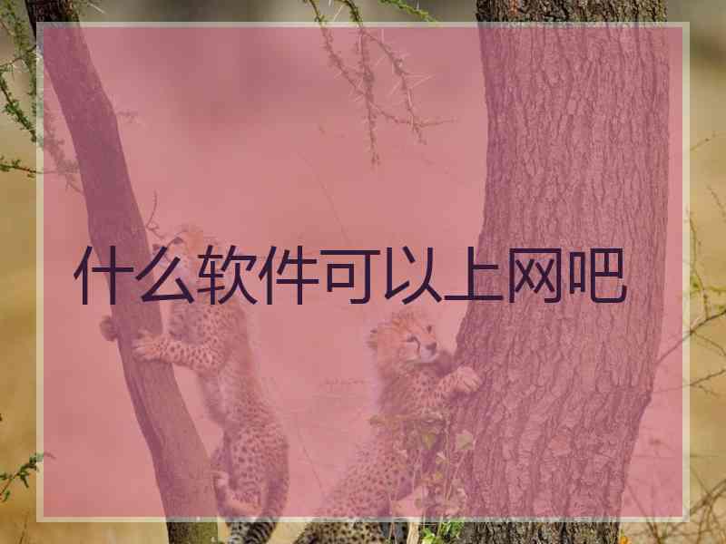 什么软件可以上网吧 什么软件可以上网吧