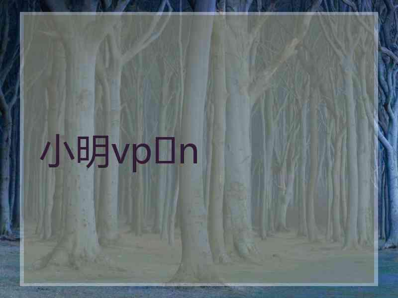 小明vp n 小明vp n