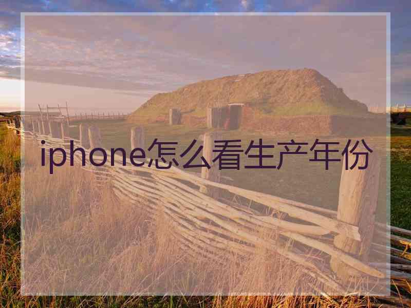 iphone怎么看生产年份 iphone怎么看生产年份