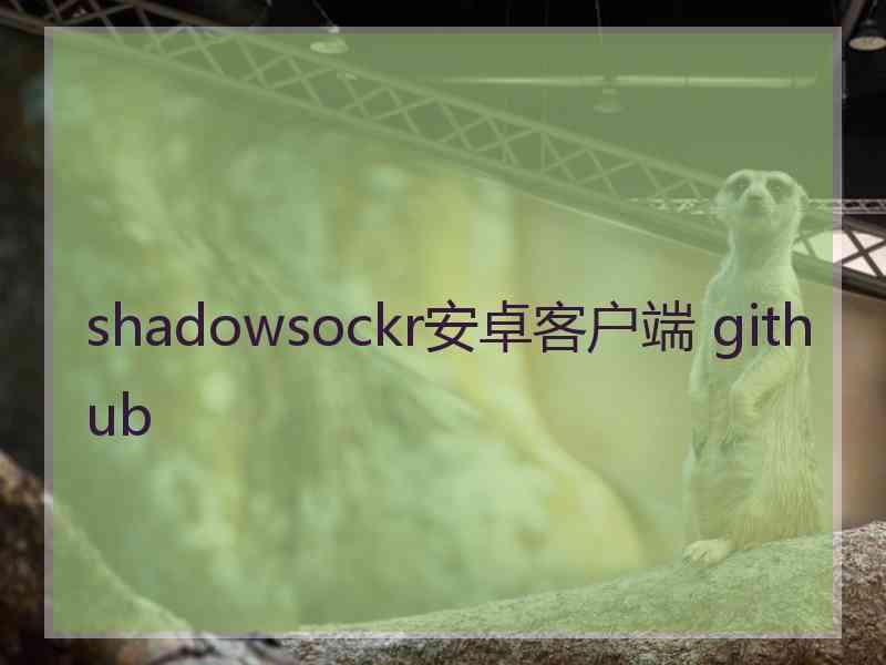 shadowsockr安卓客户端 github