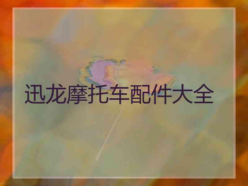 迅龙摩托车配件大全 迅龙摩托车配件大全